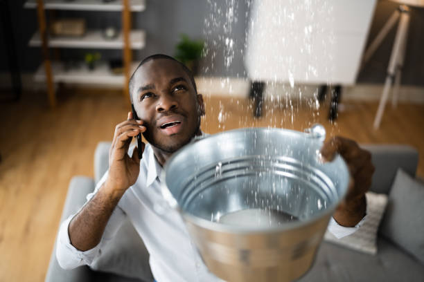 Best Water damage restoration experts  in Marcellus, MI