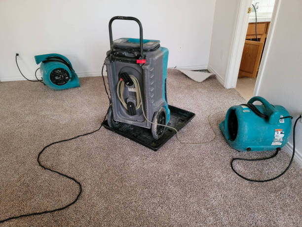 Best Water damage restoration near me  in Marcellus, MI
