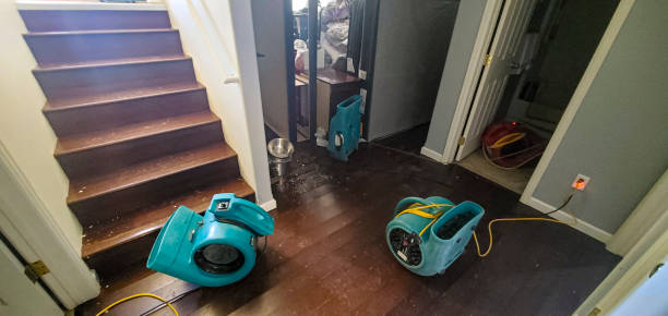 Best Ceiling water damage repair  in Marcellus, MI
