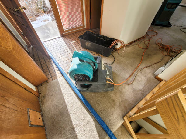 Best Professional water damage repair  in Marcellus, MI