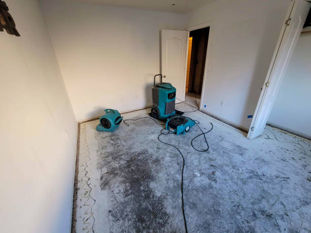 Water damage restoration insurance claims in Marcellus, MI