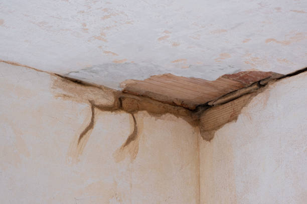 Best Mold removal after water damage  in Marcellus, MI