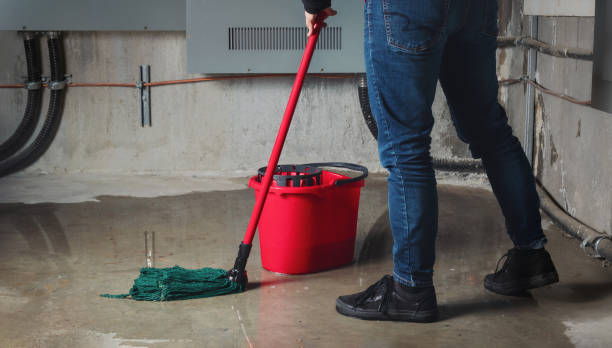 Best Water damage cleanup near me  in Marcellus, MI