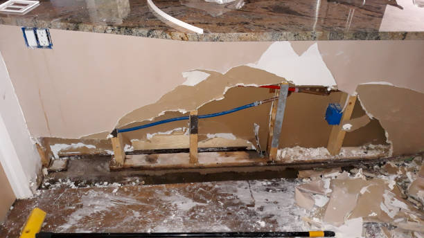 Best Flood damage cleanup  in Marcellus, MI