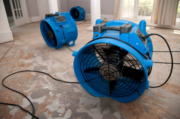 Best 24-hour water damage restoration  in Marcellus, MI