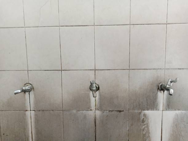 Best Basement water damage restoration  in Marcellus, MI
