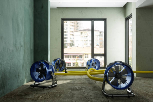 Best Water damage restoration insurance claims  in Marcellus, MI